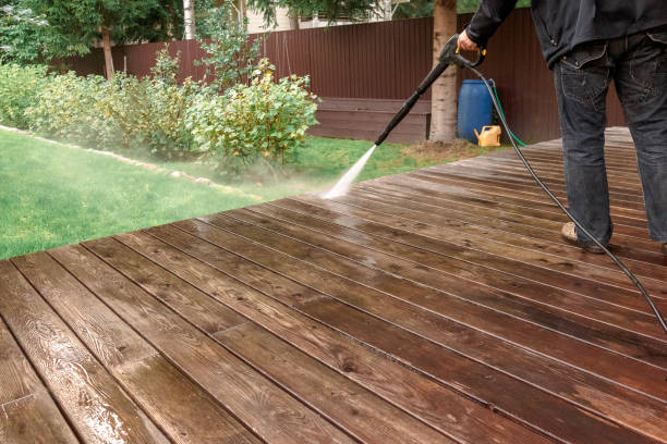 Best Solar Panel Cleaning  in Indian River, MI
